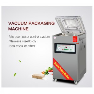 Vacuum packing machine