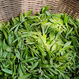West lake Longjing tea